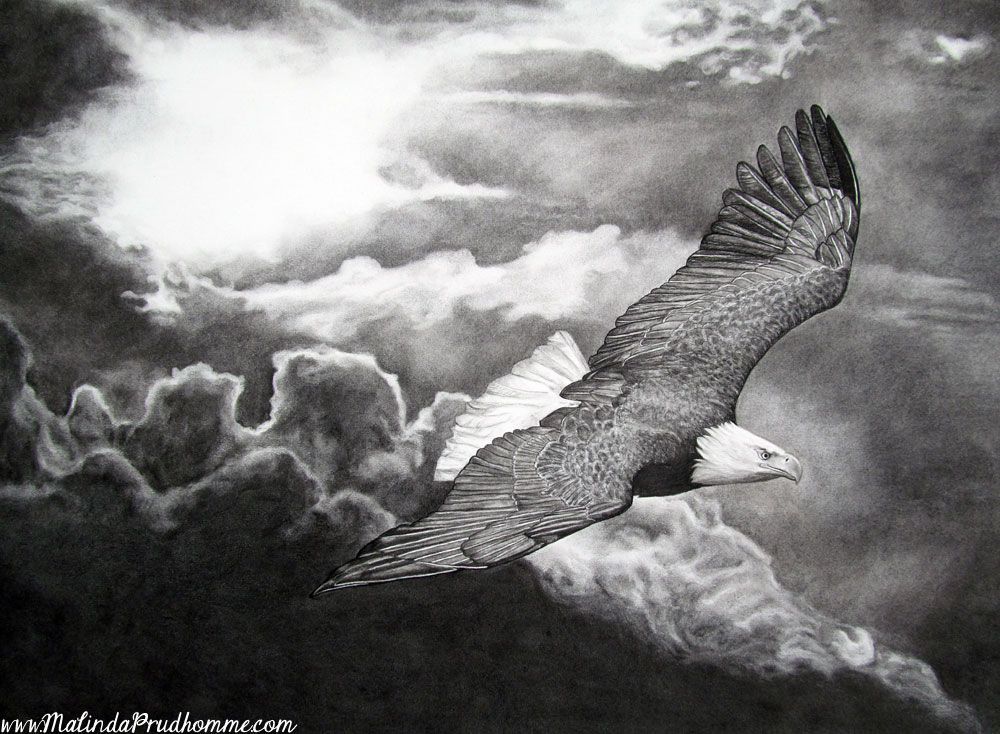 eagle, eagle art, eagle drawing, eagle charcoal drawing, custom charcoal drawing